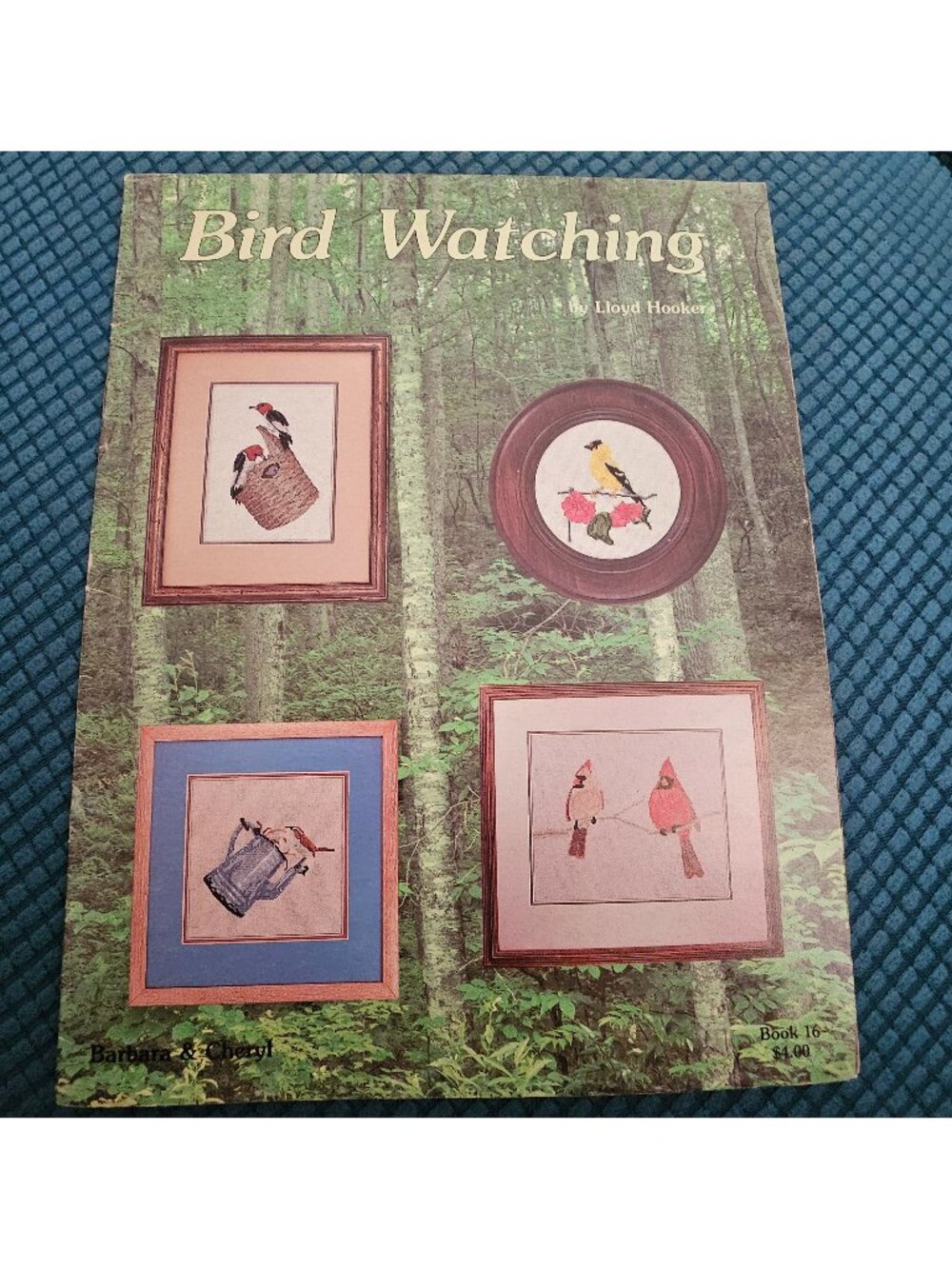 Bird Watching Graphs by Barbara & Cheryl by Lloyd Hooker Book 16